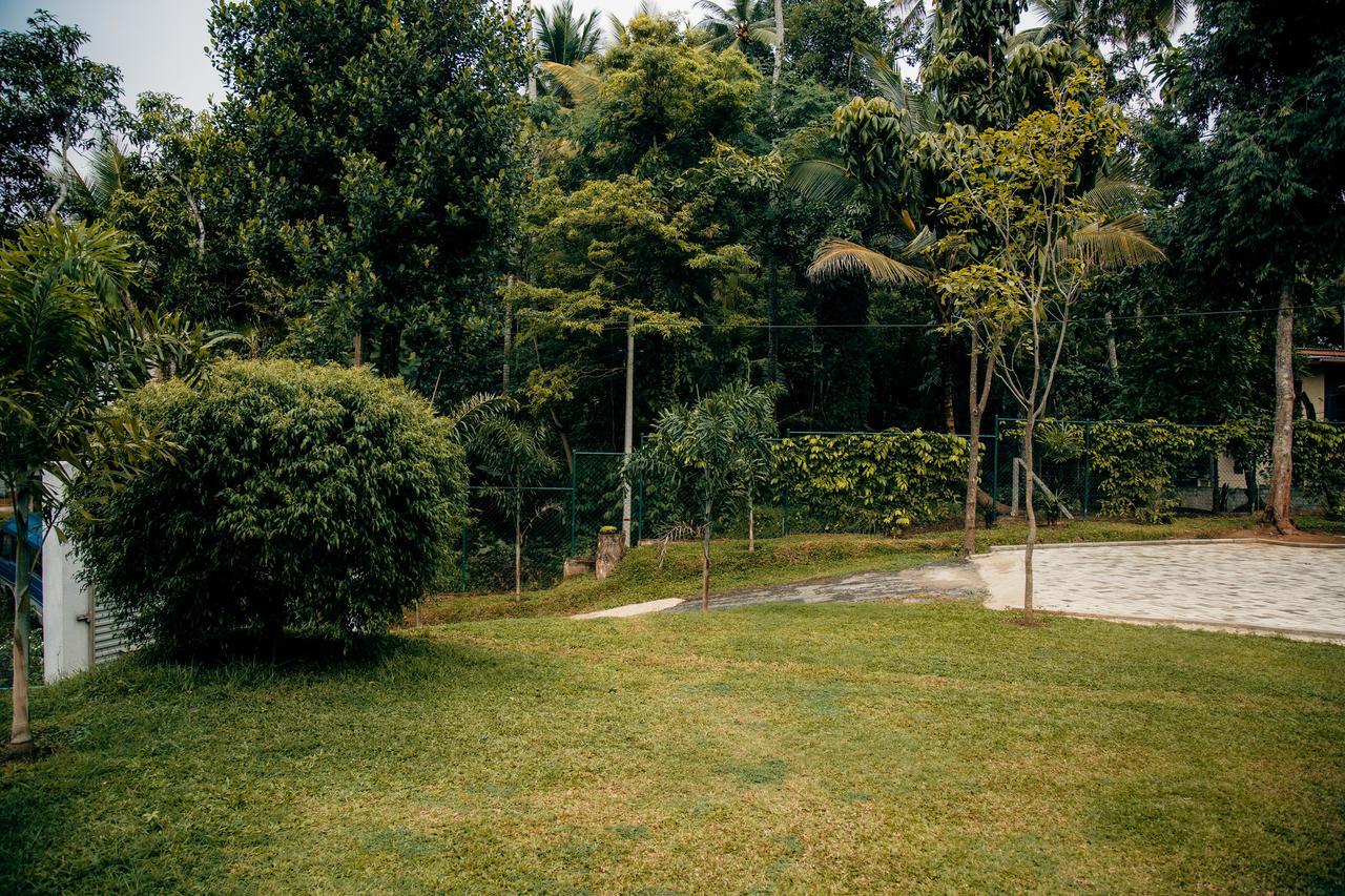 קנדי Thomasz Lodge מראה חיצוני תמונה